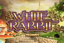 White Rabbit White Rabbit